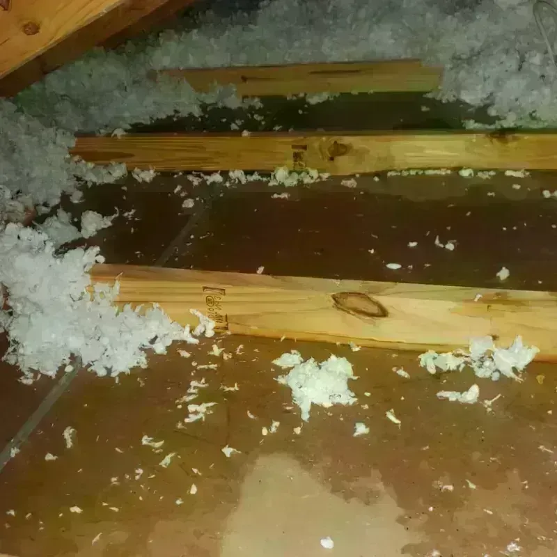 Attic Water Damage in Smithville, MO